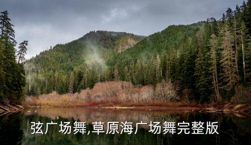 海之弦廣場舞,草原海廣場舞完整版...